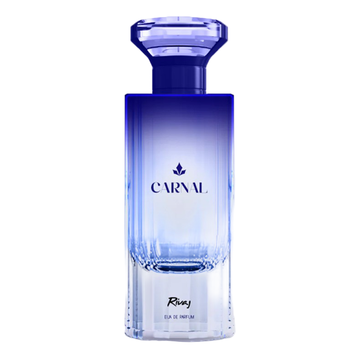 RIVAJ CARNAL EDP 75ML
