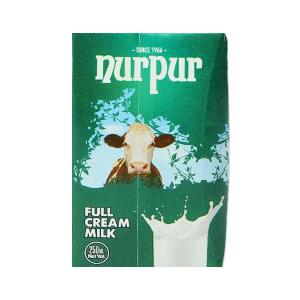 NURPUR MILK 250ML