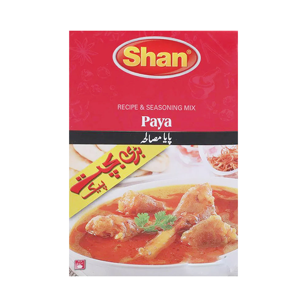SHAN PAYA MASALA 100G